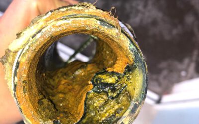 Reinigung von Trinkwasseranlagen ist Pflicht